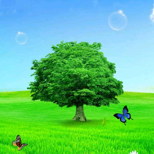 ⋋✿ ❤️中有你  ✿⋌