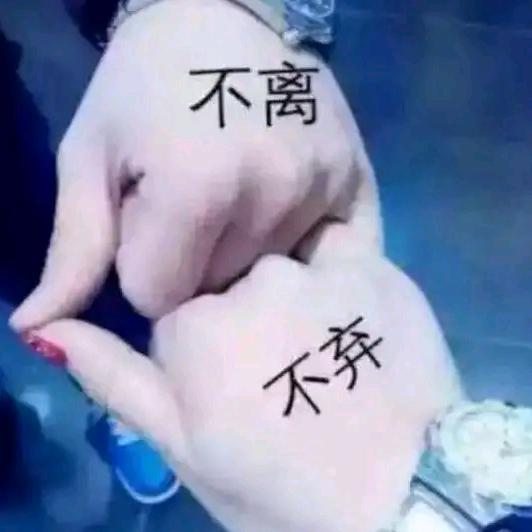 Jdd东东