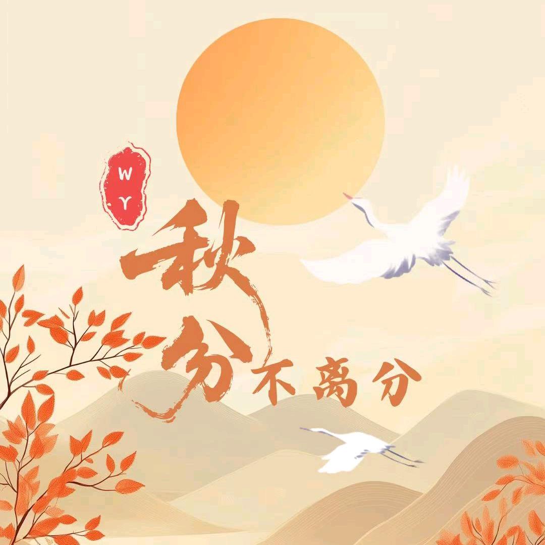 WY-天空之境