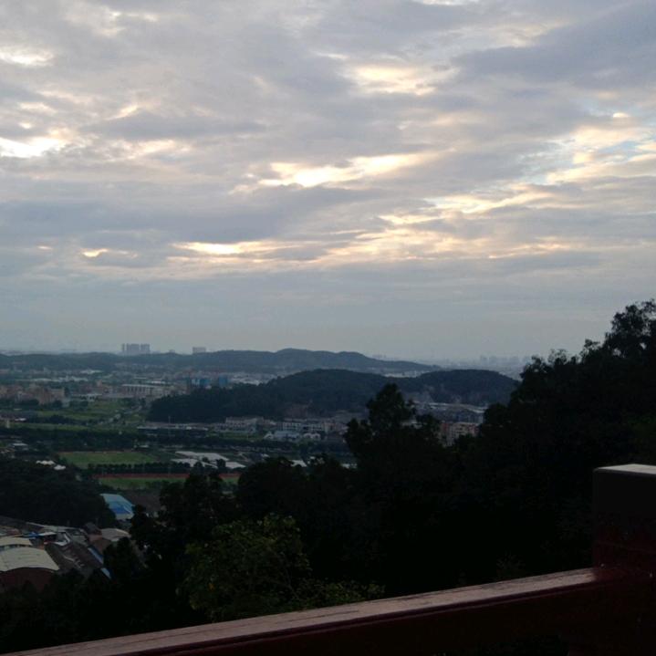 生活君