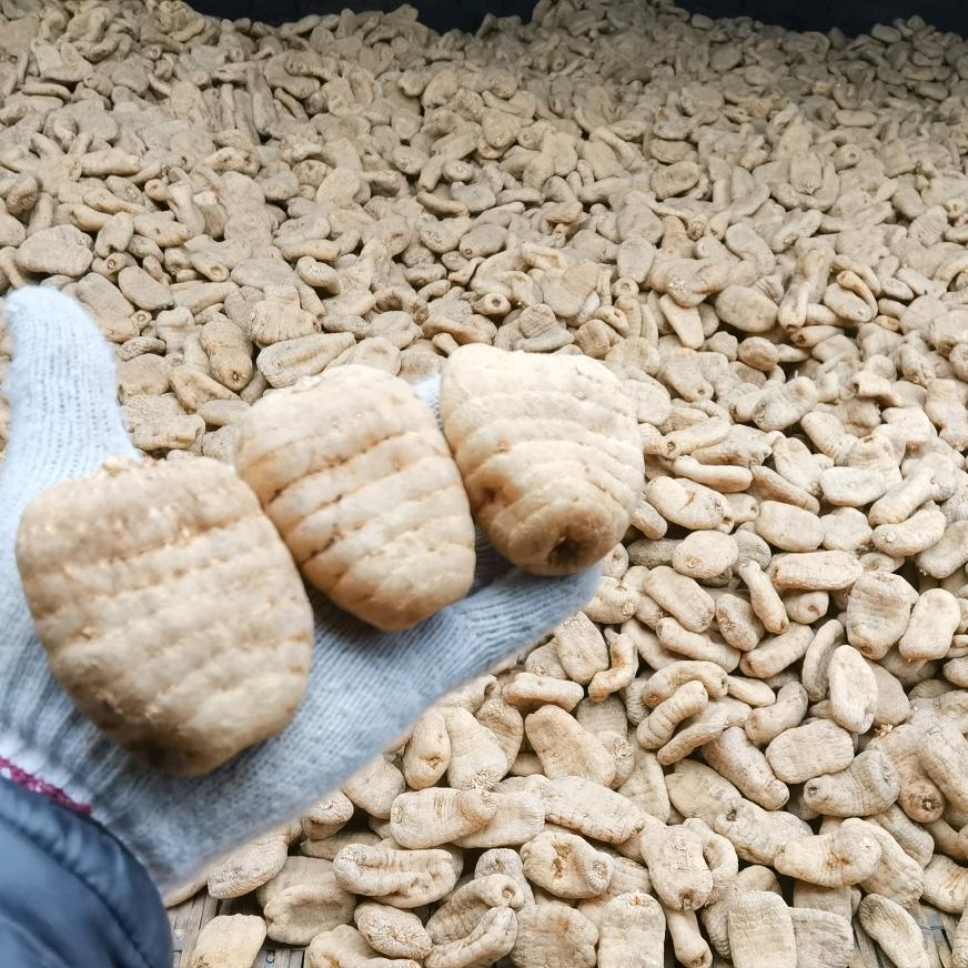 黑篱农产品