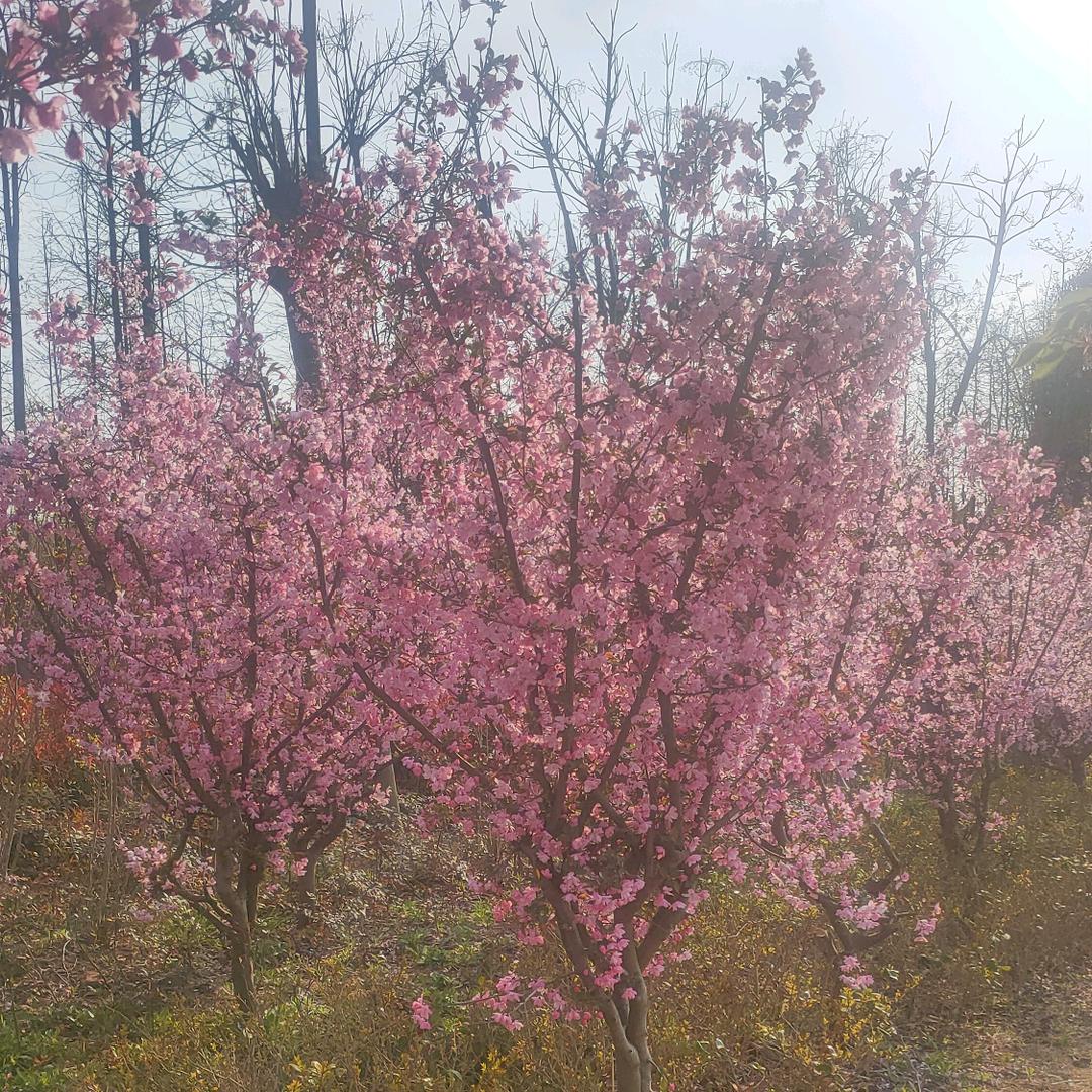秋天的风
