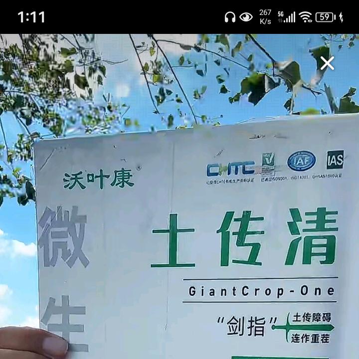大上蔡。