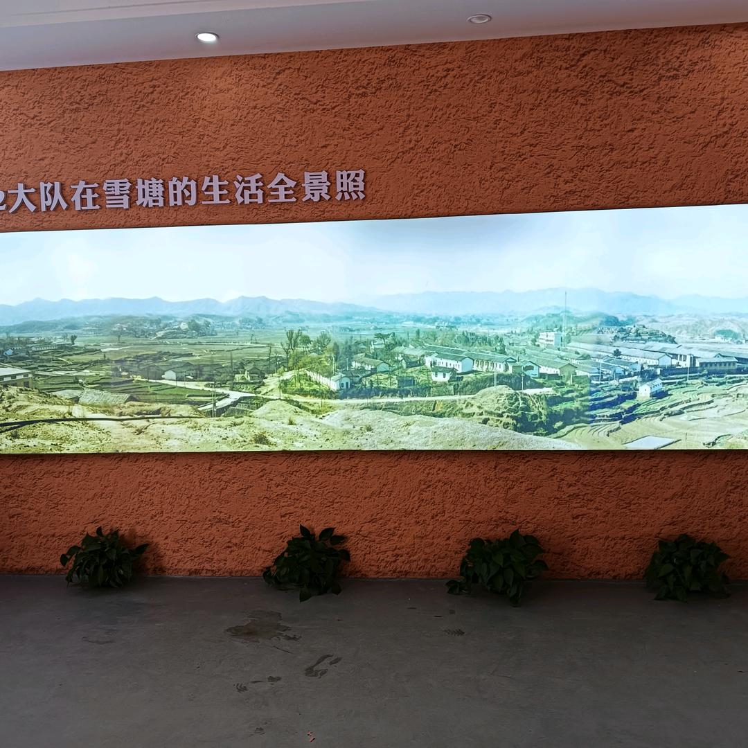只对你好