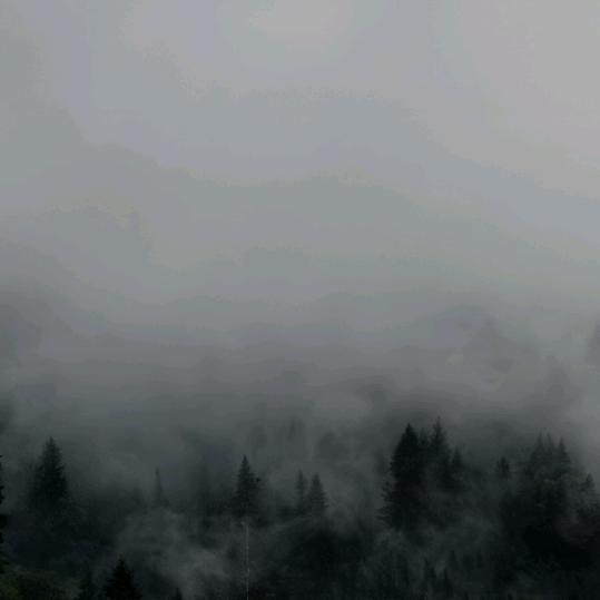 㲻蝶