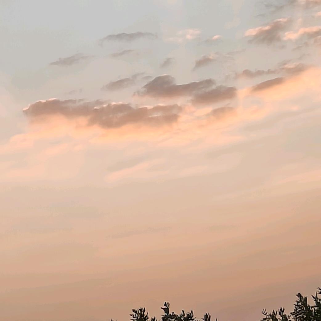 哈密瓜🌙🌙🌙
