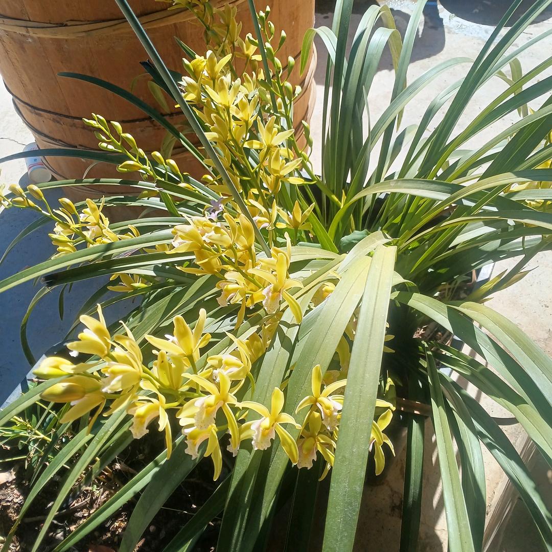 人生苦短,帮我到满。