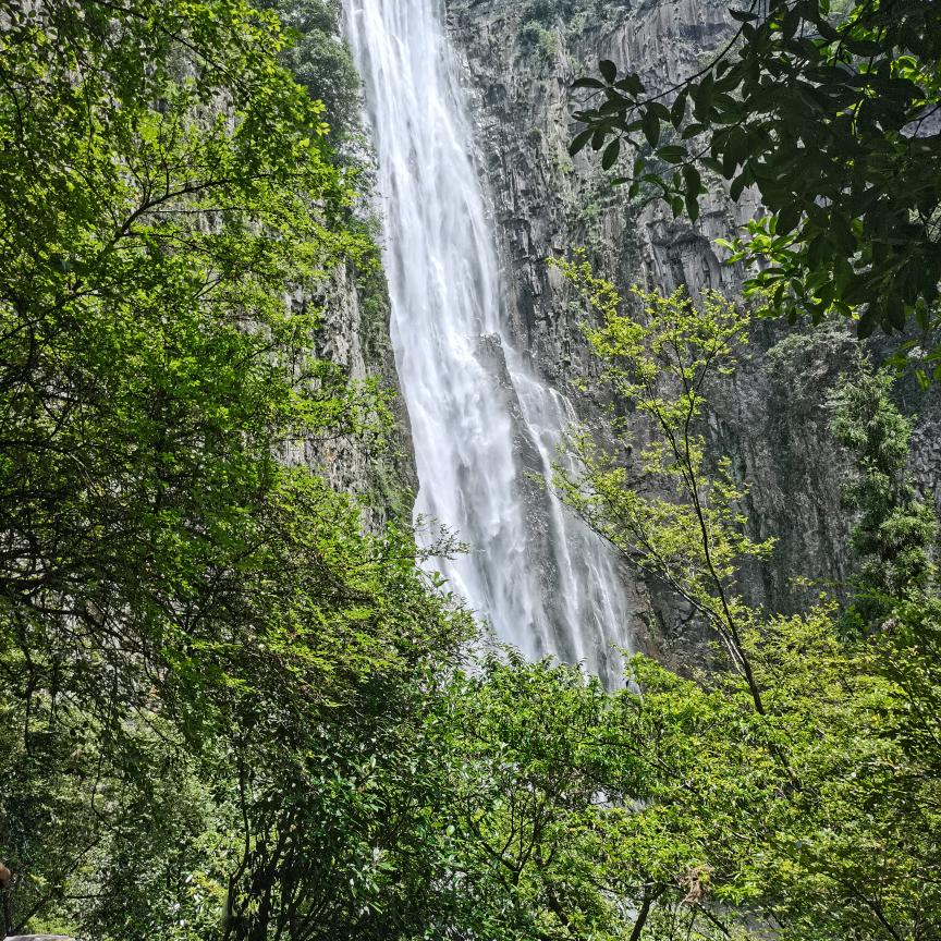 @欣欣向荣(｡･ω･｡)ﾉ♡