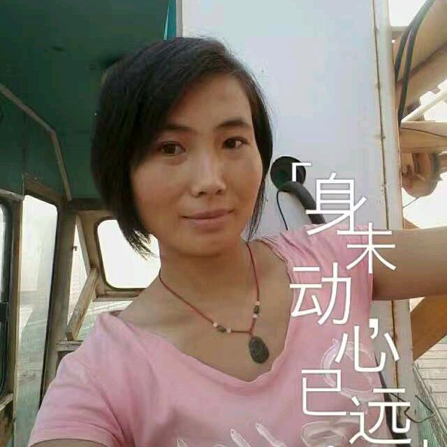 周口童氏建筑机械有限公司