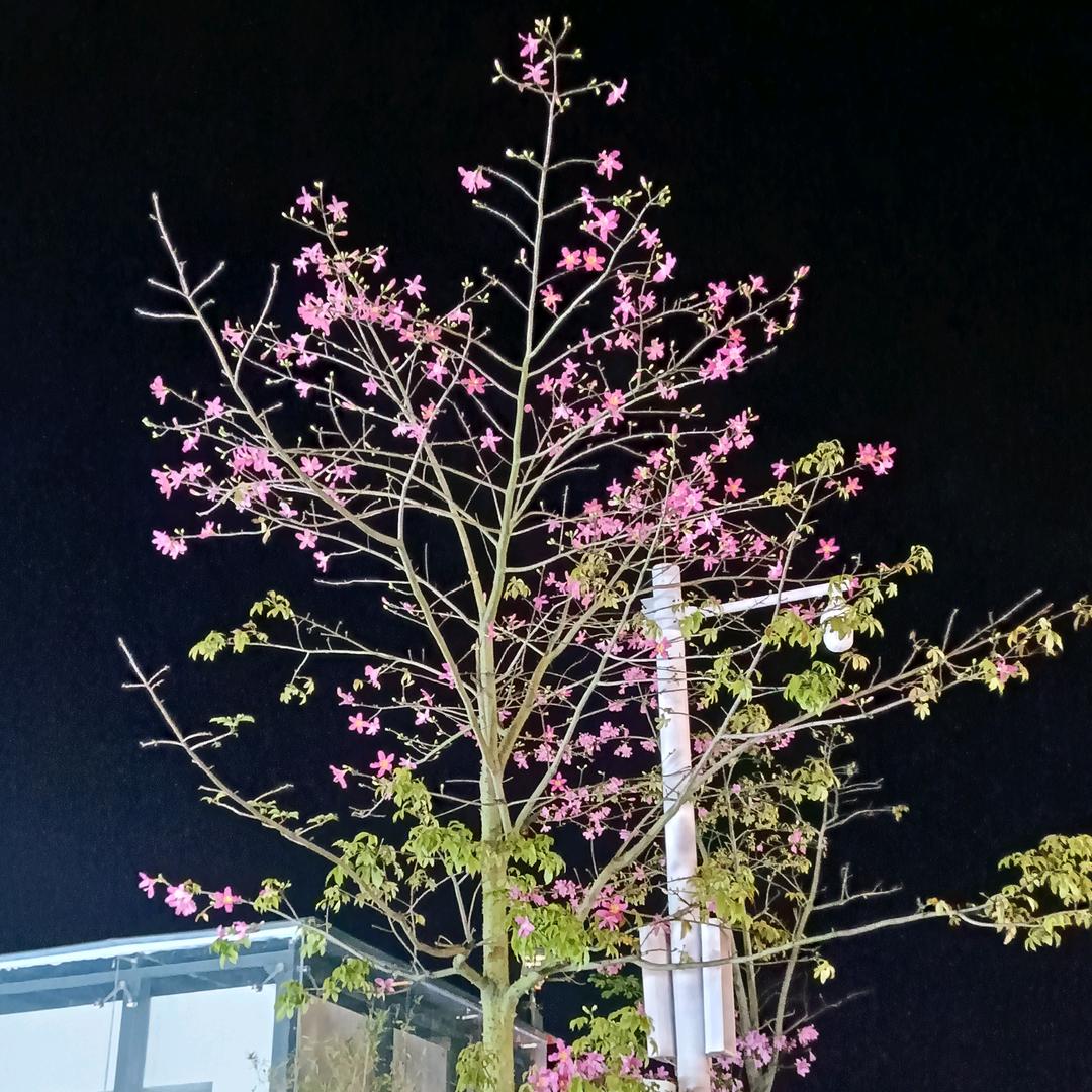 余生靠努力