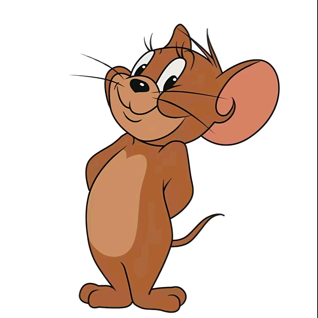 肥波和臭宝智商低