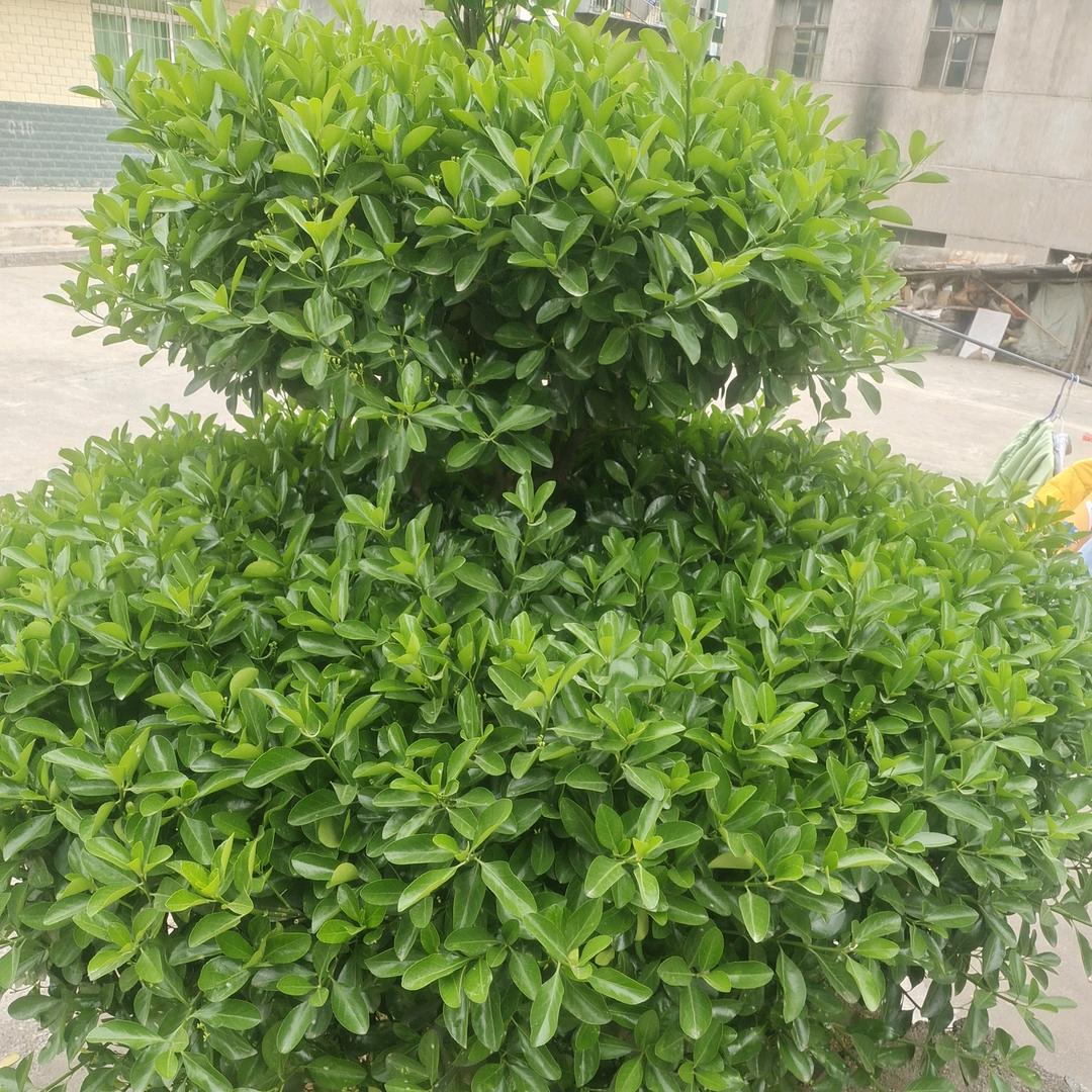 美好时光zq