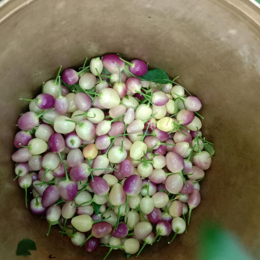 销售各类新鲜农产品