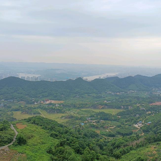 地地地水水水风风风金金火火火土土土木木木