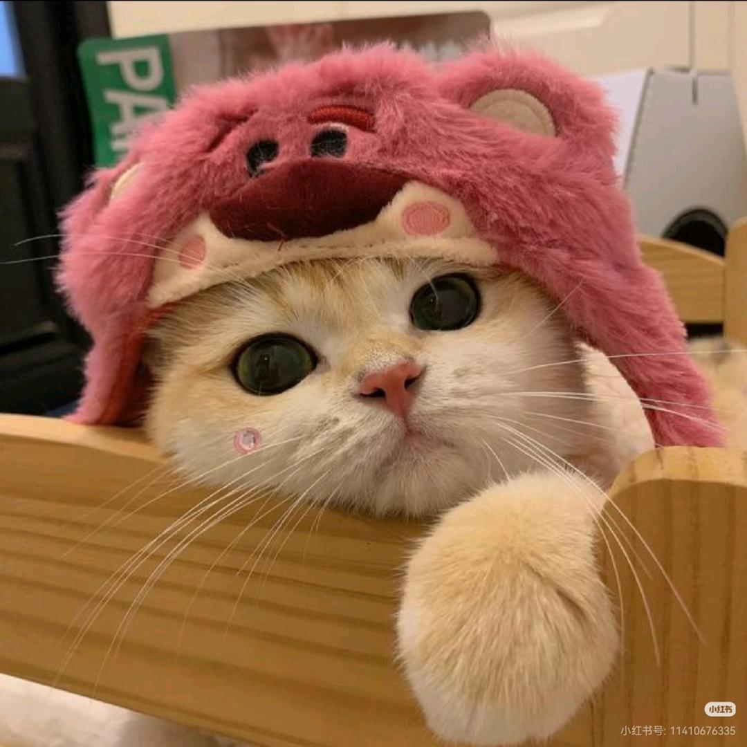 小豆丁儿