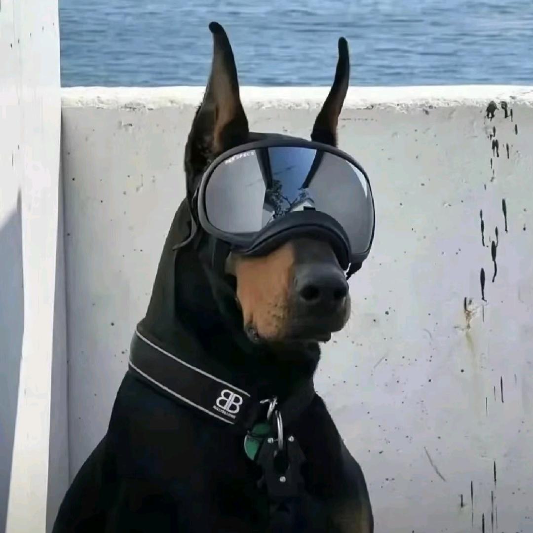 sssss