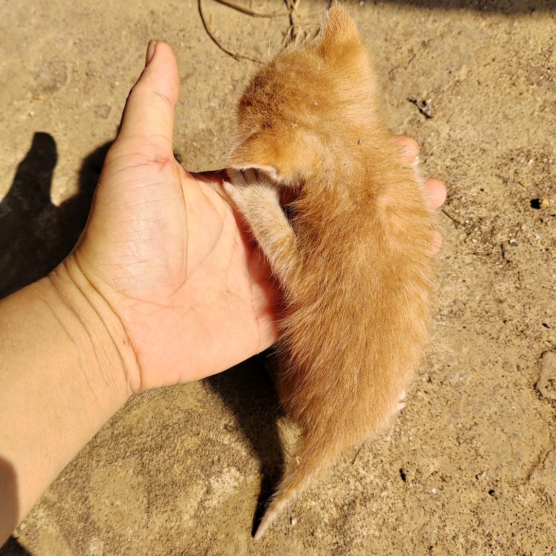 潴潴