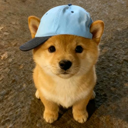 ‘百年’太短也太久