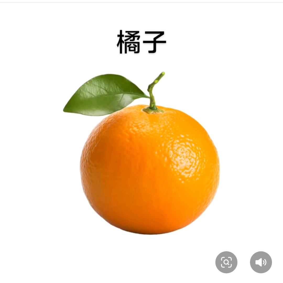 🍊橘子✨