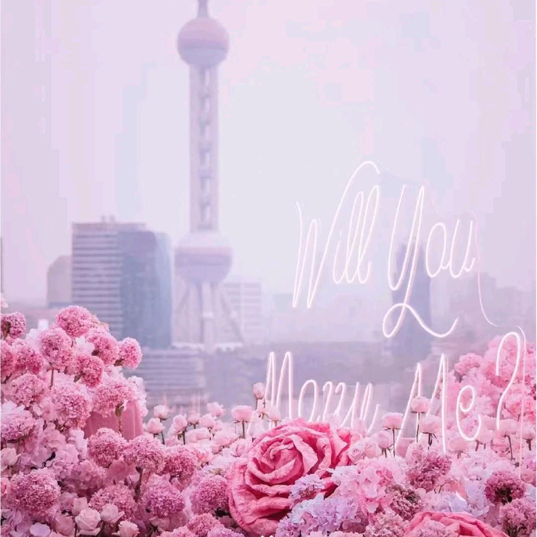 梦灬女孩"