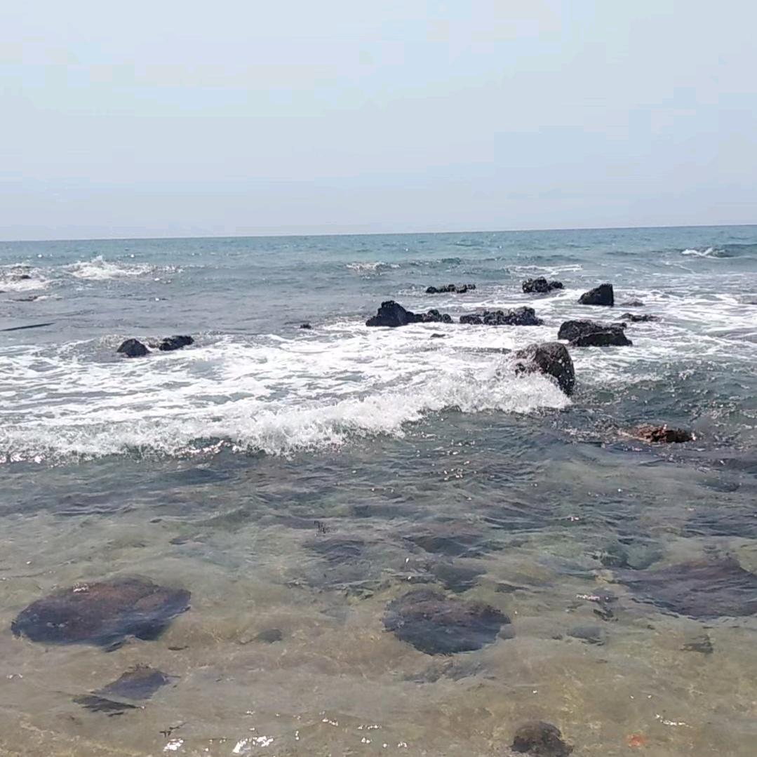 阿拉善左旗巴彦浩特洛丰调味海鲜大全