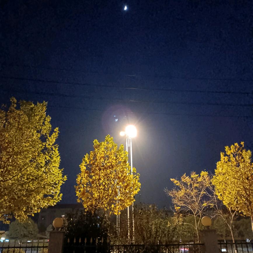 💫難說再見！✨