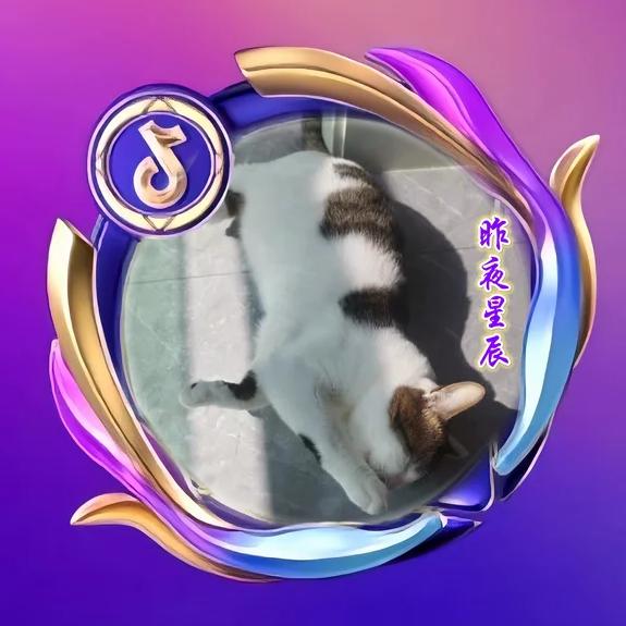 昨夜星辰