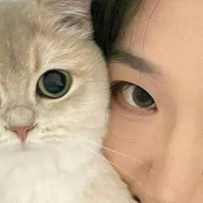廷