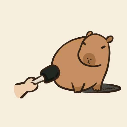 爱提问的KK