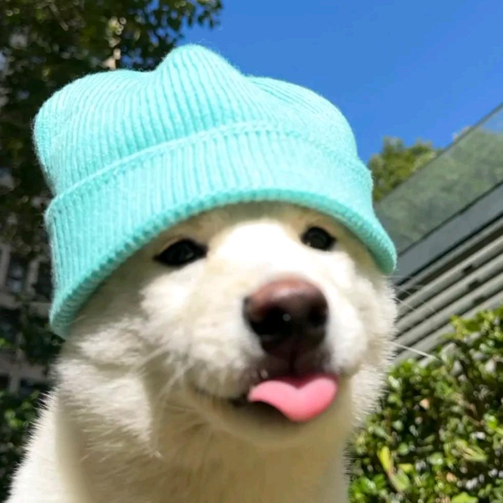 星与雪子【💣爱心郎】