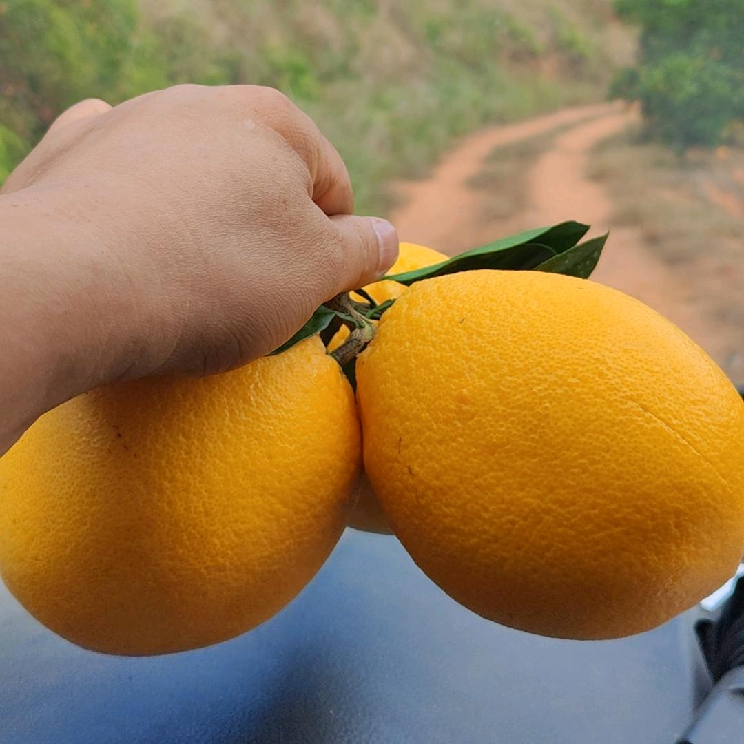 一碗面