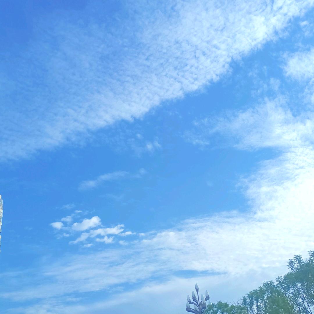 渝皮火锅:老皮说美食