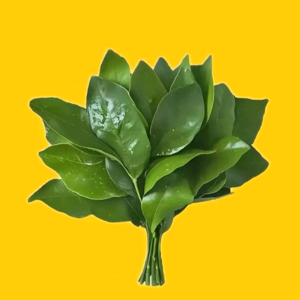 皱眉