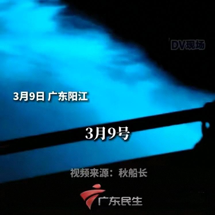 海陵岛 游艇租赁  秋船长