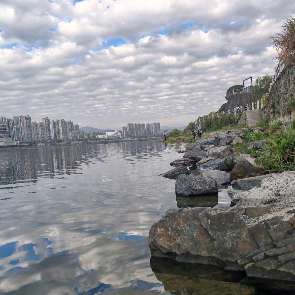 浅夏听风