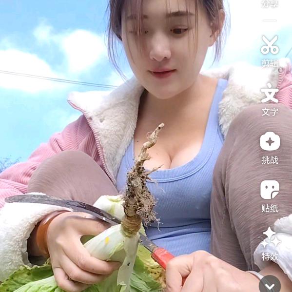 摇啊摇，