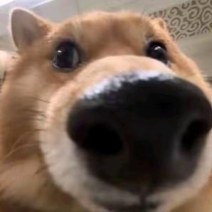秋意晚