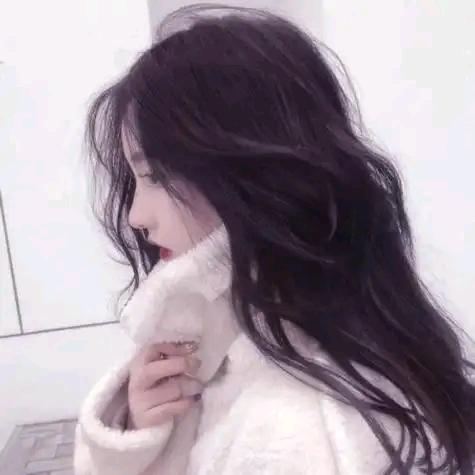 仙仙精选