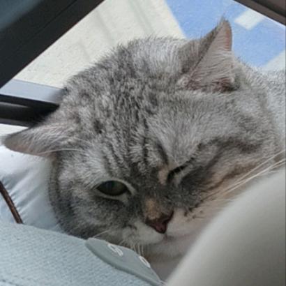 🌈不锈钢消音雨搭