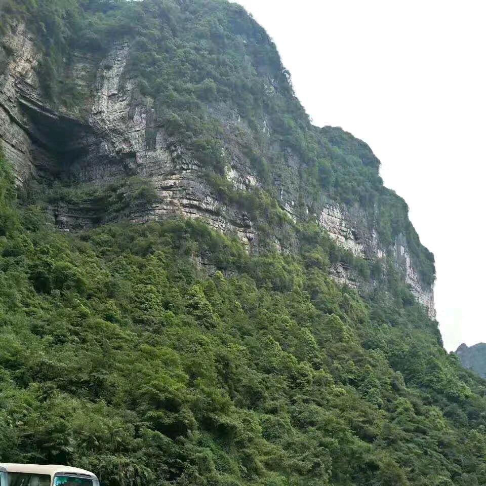 🇨🇳乡君