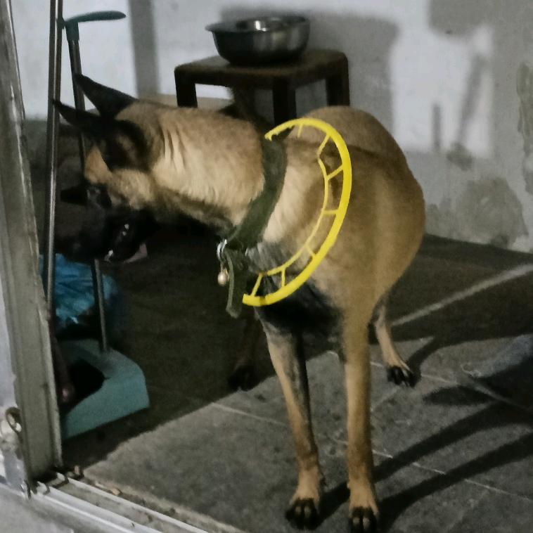 🌈༄伊の一ོ࿆༘࿆ྂ࿐🌈