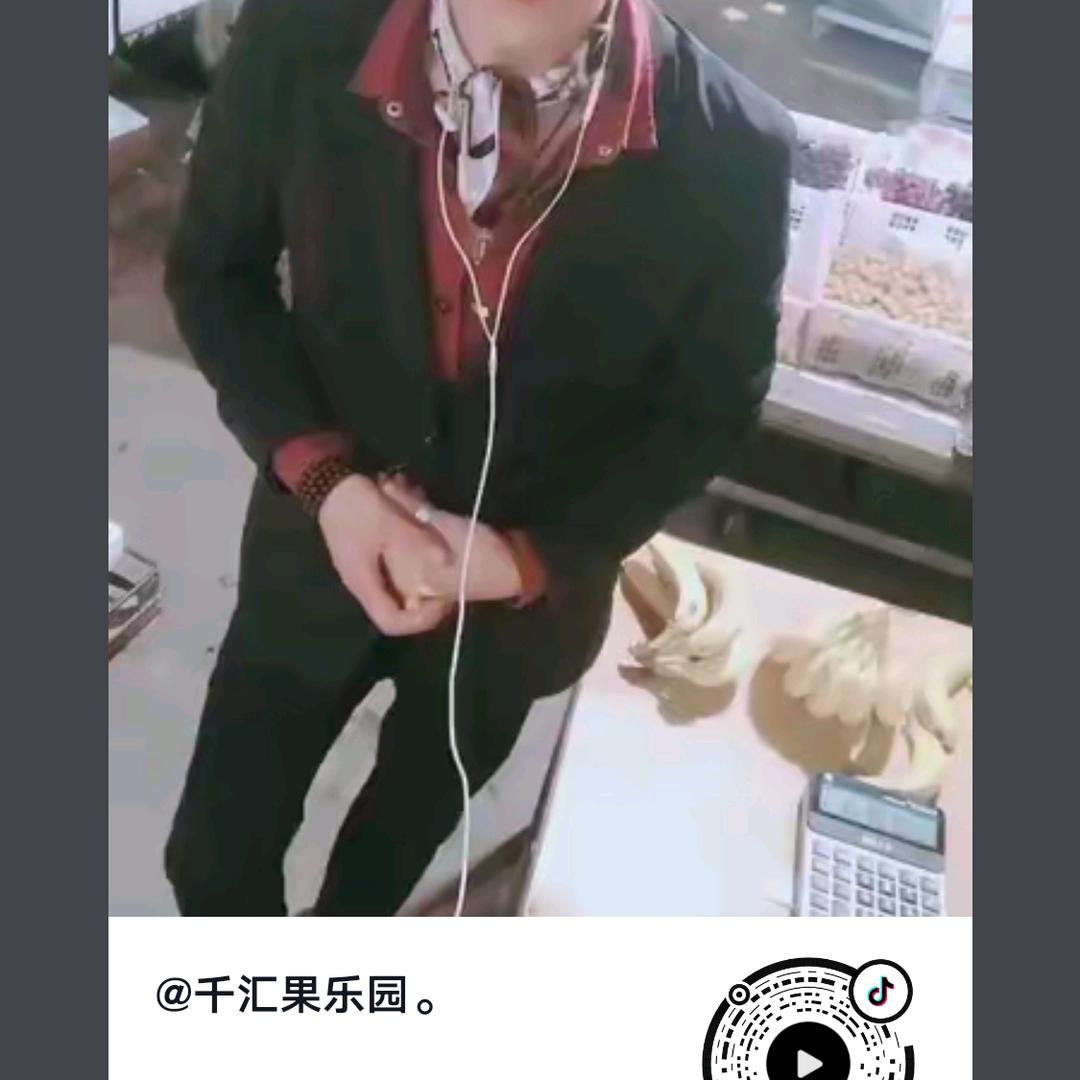 逆光飞翔