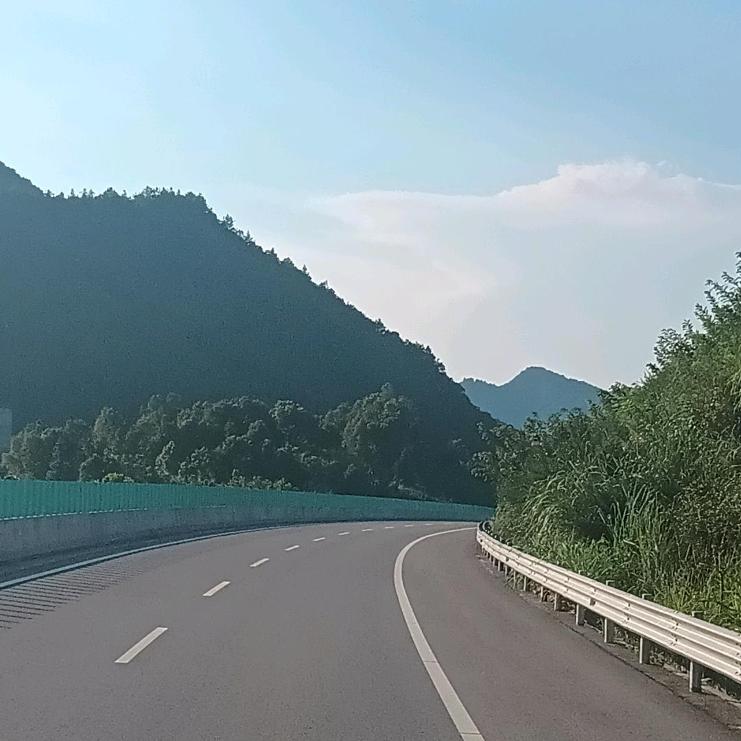 河南成哥