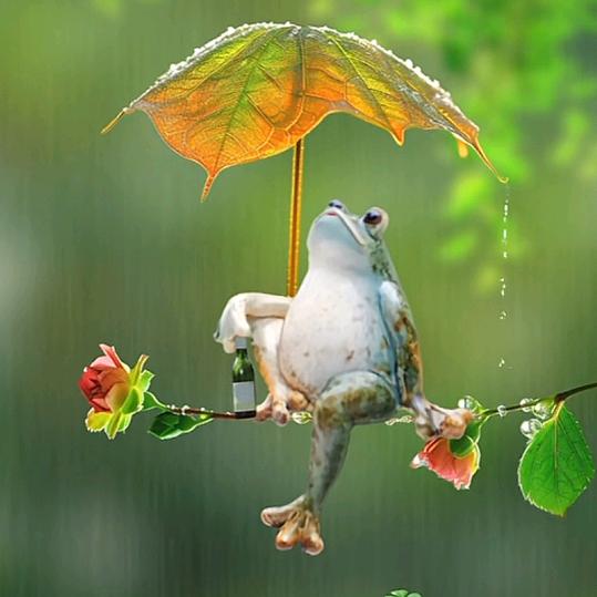 冷风雨