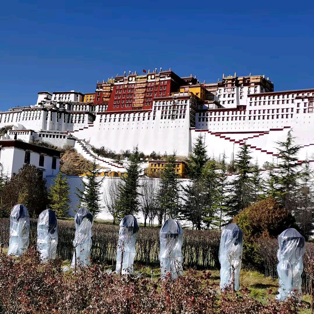 开心快乐每一天