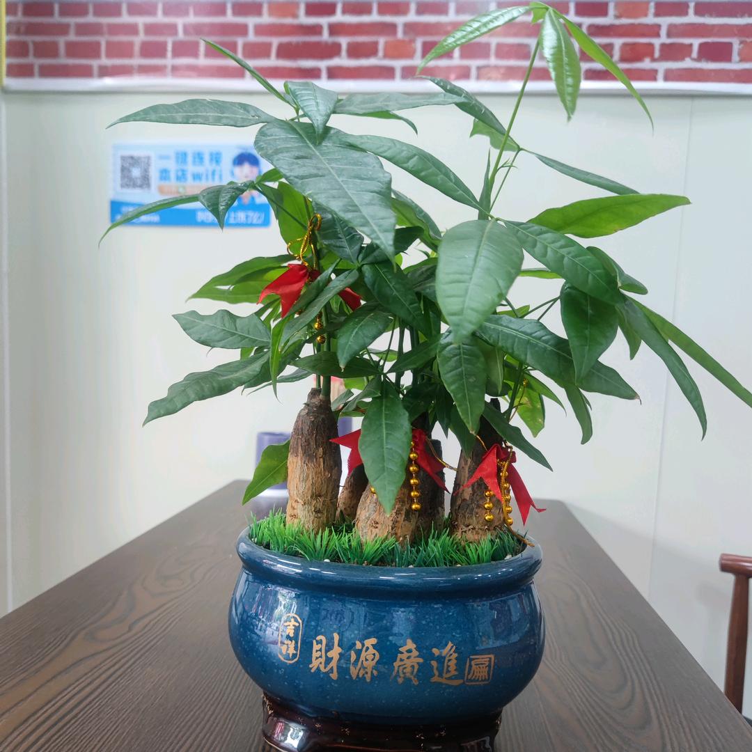 方
