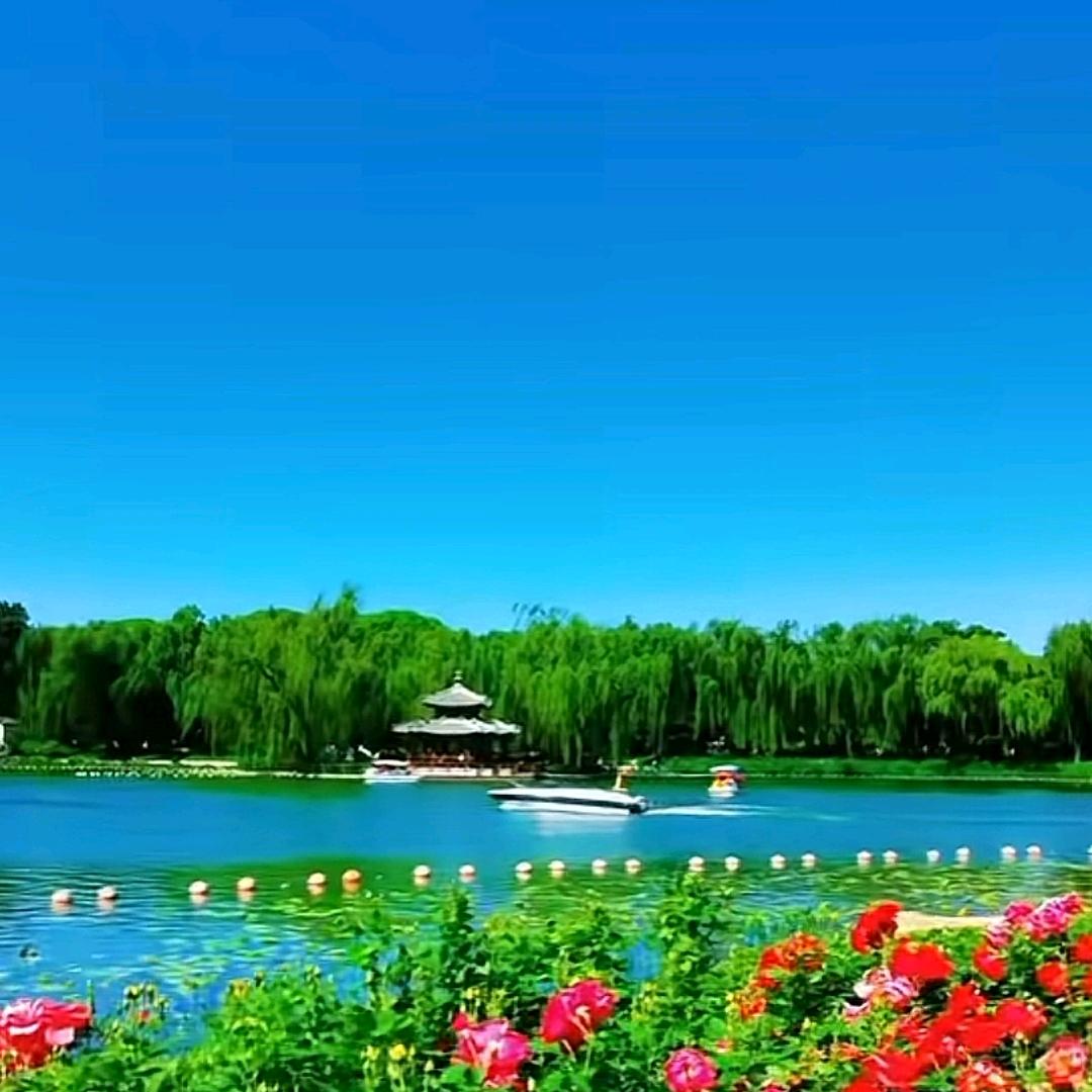 坦荡人生