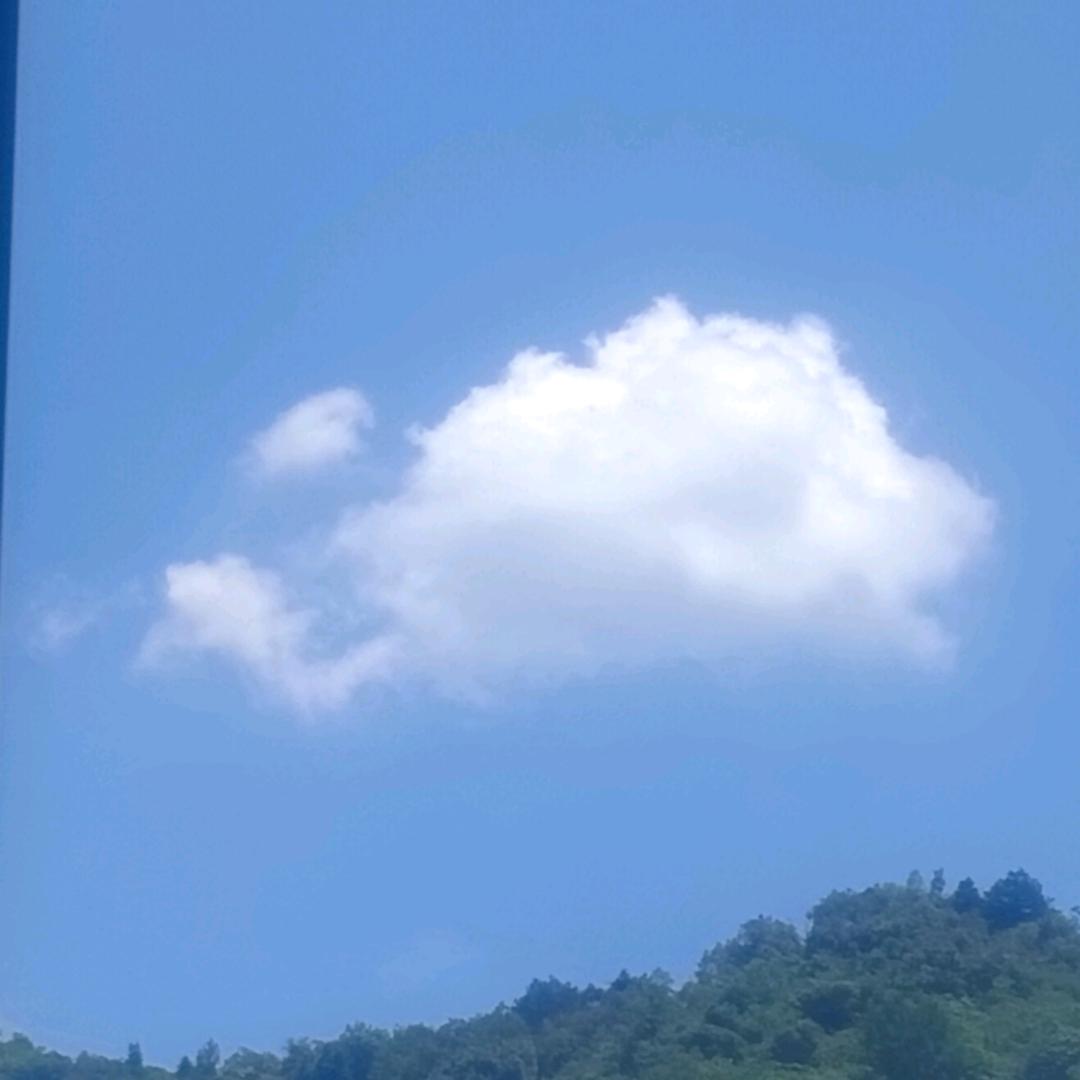 壹蓑烟雨