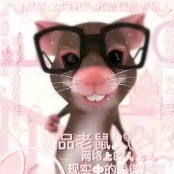 极品大老鼠