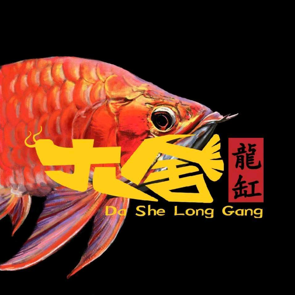 大舍龙缸